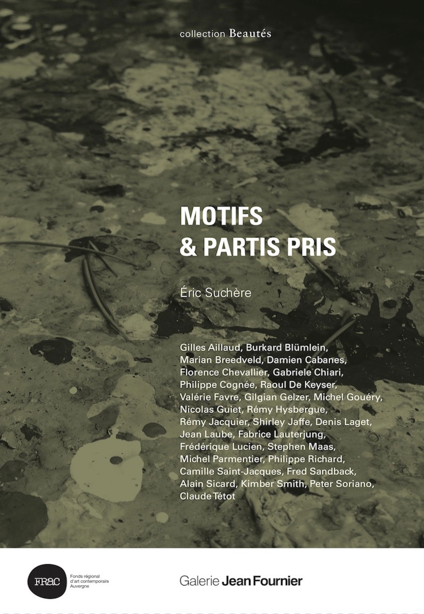 Beautés, Éric Suchère, Motifs et partis pris, Galerie Jean Fournier / FRAC Auvergne (couverture)