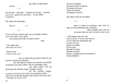 Éric Suchère, L’Image différentielle, Voix éditions (p. 56-57)