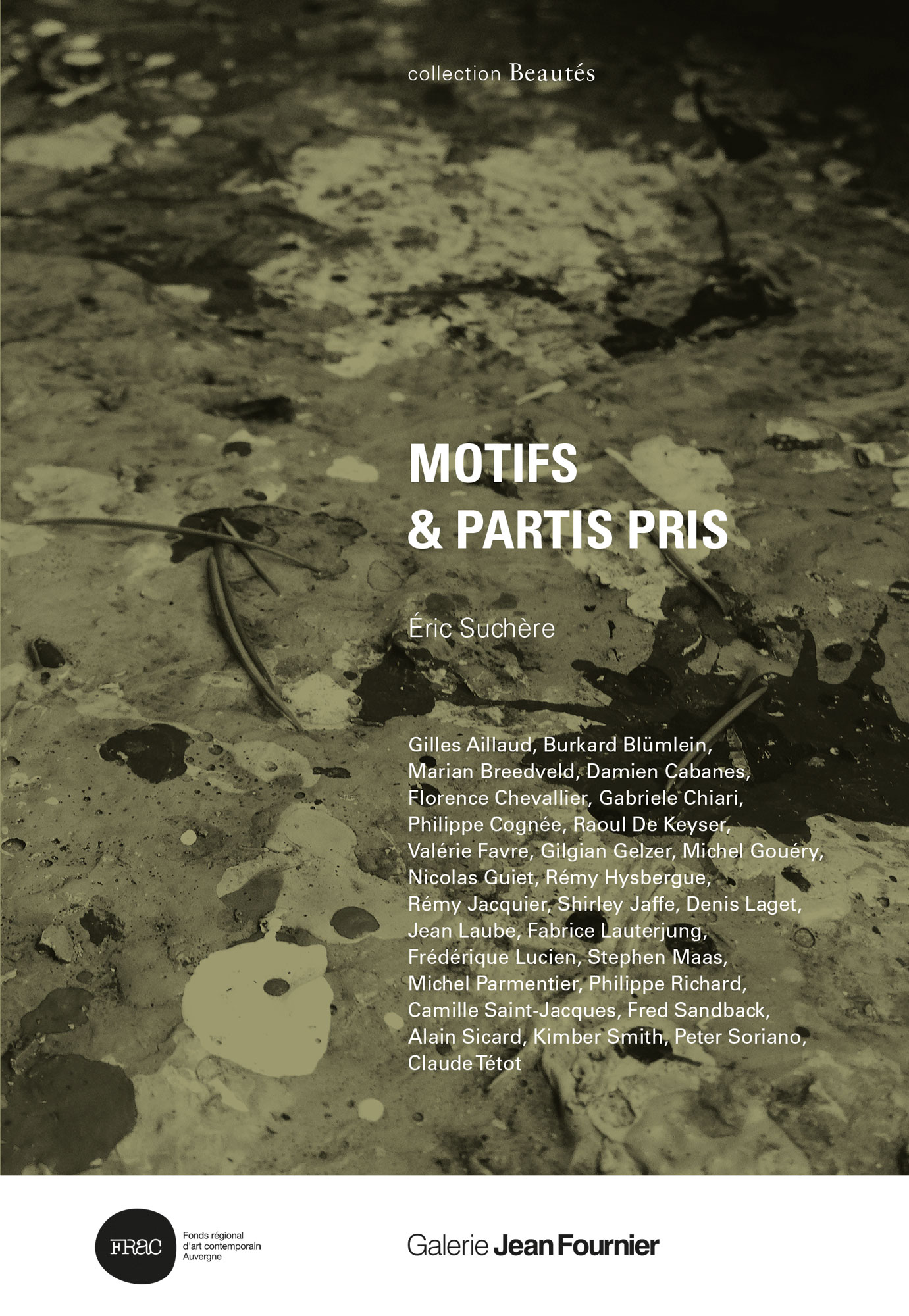 Éric Suchère, Motifs & partis pris, Galerie Jean Fournier / Frac Auvergne (couverture)