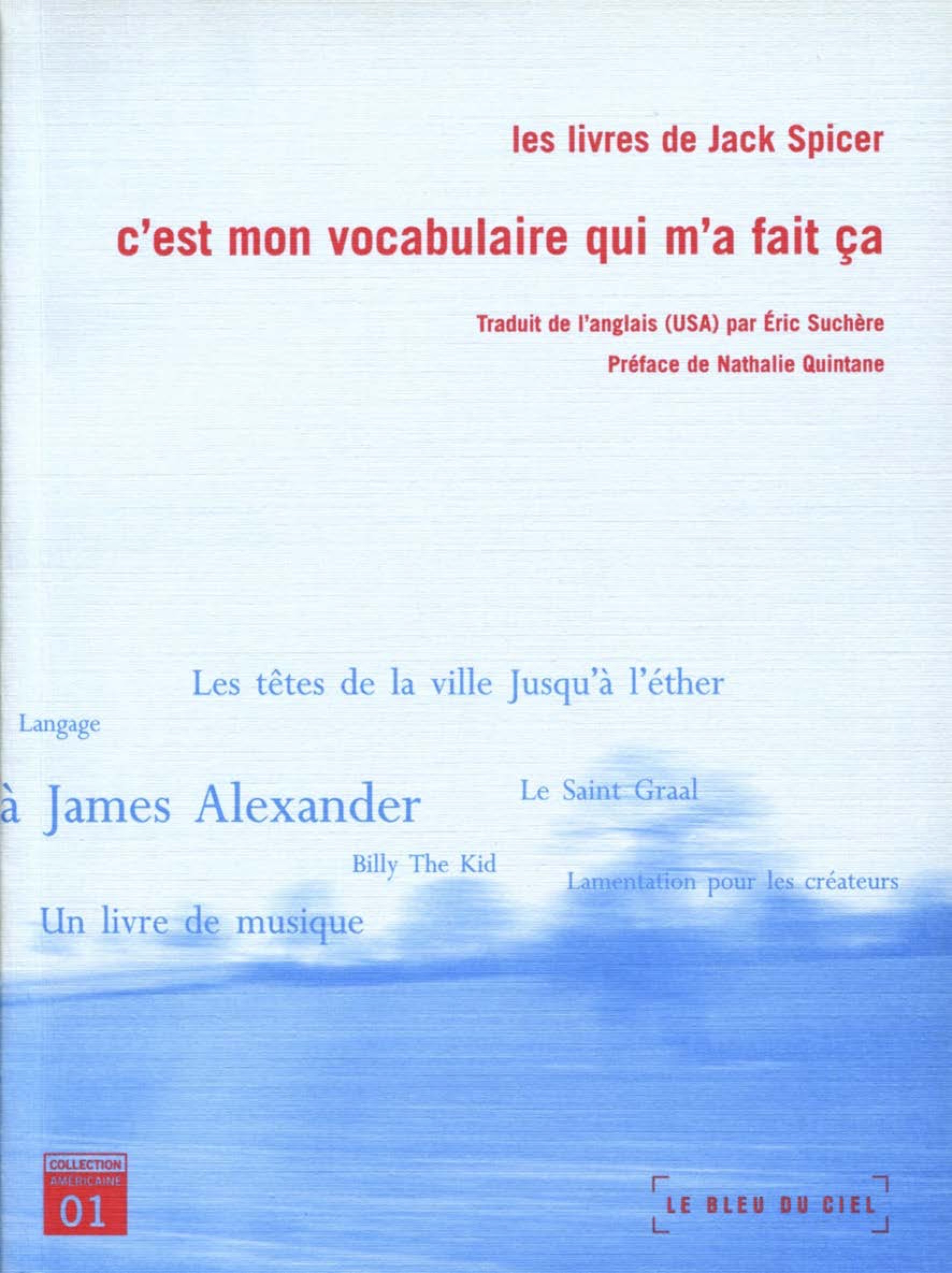 C’est mon vocabulaire qui m’a fait ça