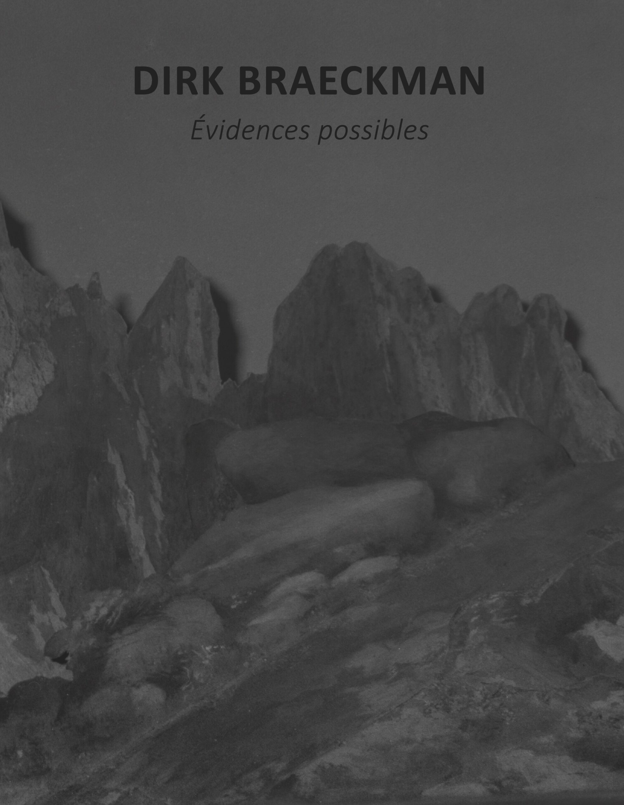 Dirk Braeckman, Évidences possibles