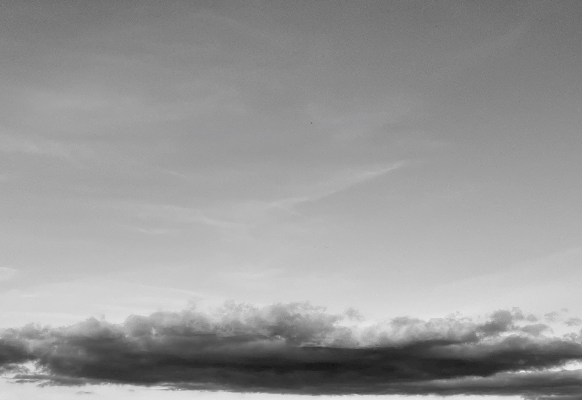 N° 338 (novembre 2025), Contrepoint