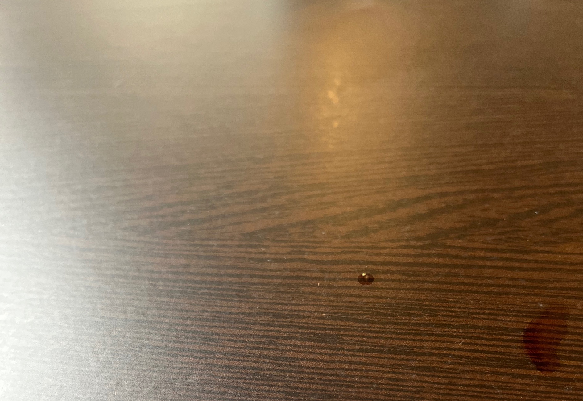 N°&nbsp;341 (février 2026), Ombres